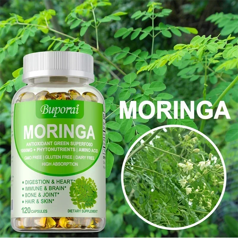 Cápsulas Moringa: aumenta el m - Moringa Leaf Powder reseña y precio