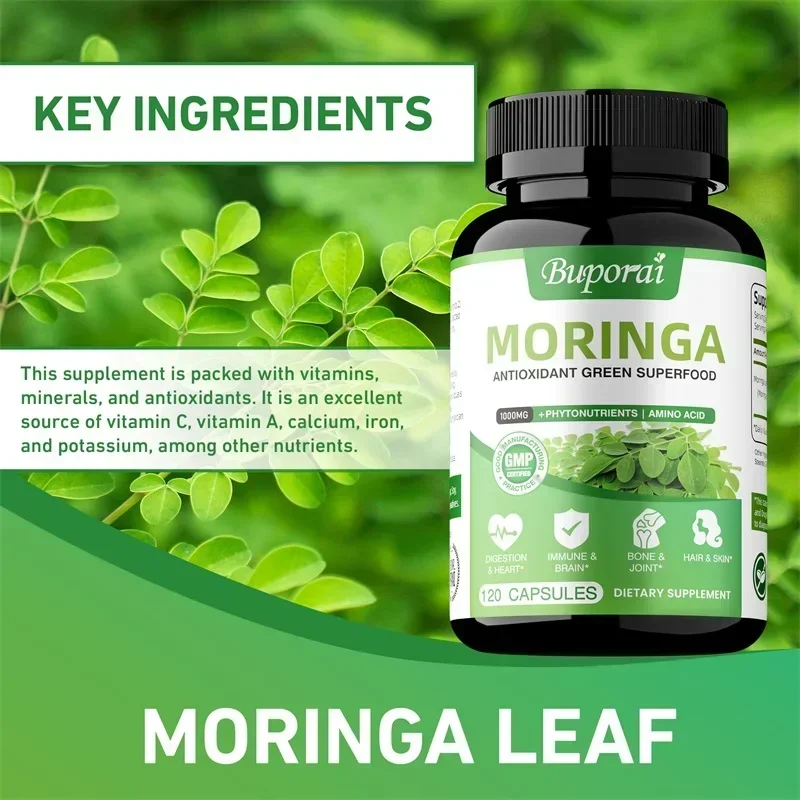 Cápsulas de Moringa - Antioxid - Moringa Leaf Powder reseña y precio